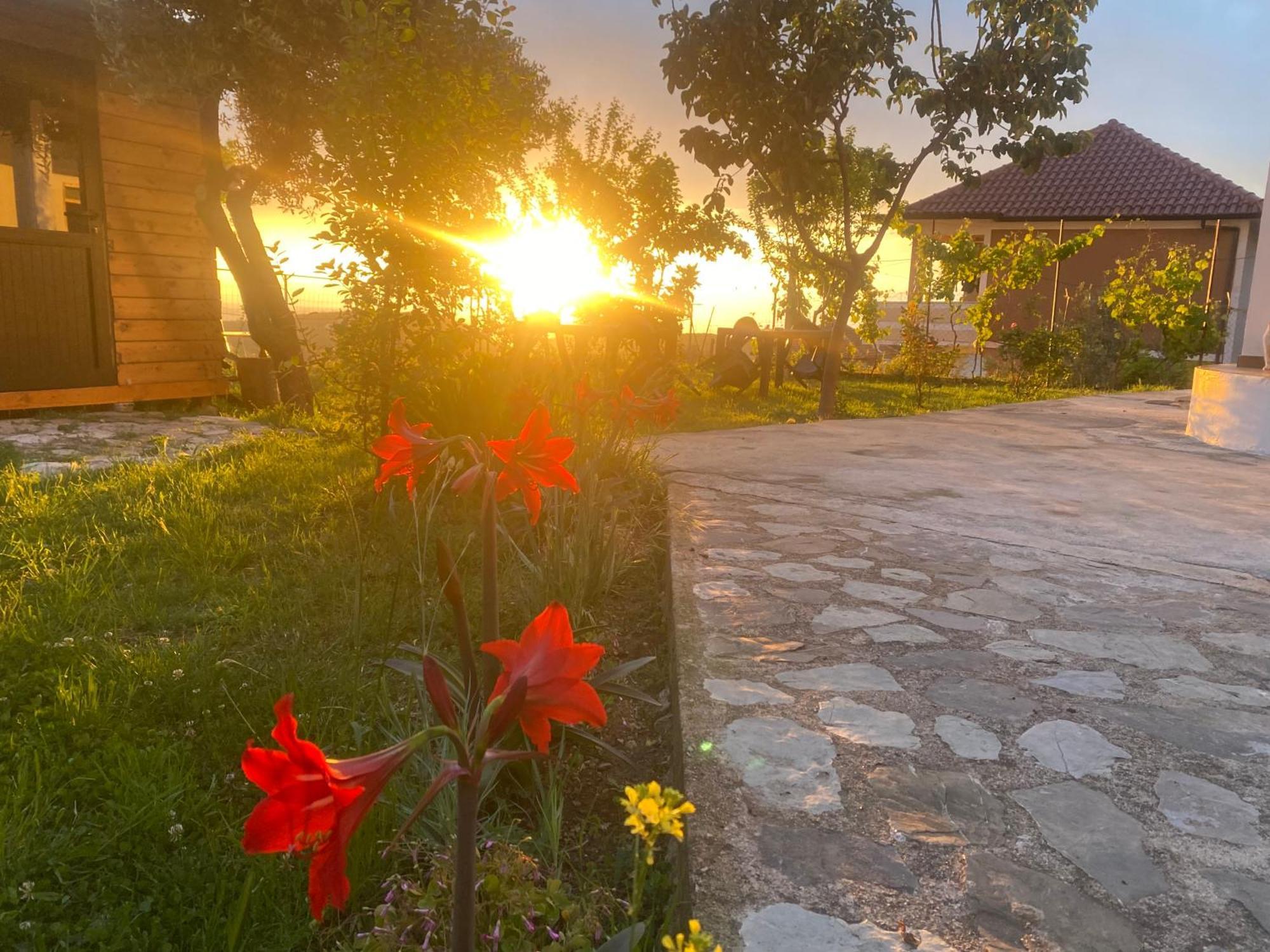 Meti Guest House Krujë Extérieur photo